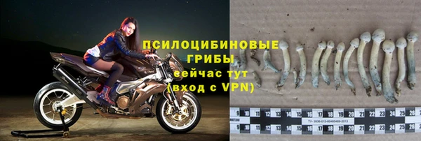 PSILOCYBIN Беломорск