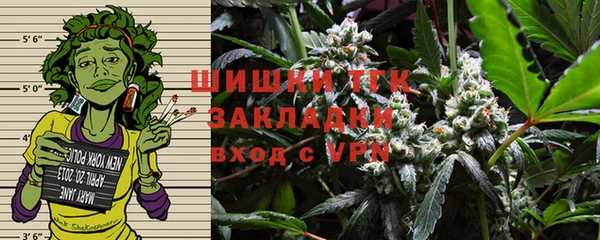 PSILOCYBIN Беломорск