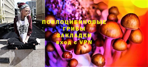 PSILOCYBIN Беломорск