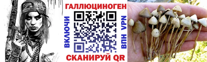 Псилоцибиновые грибы ЛСД  Невьянск 